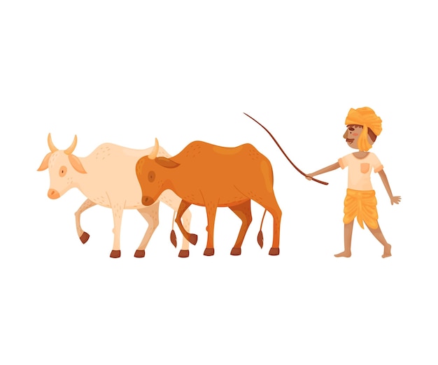 Man in indian clothing drives two bulls vector illustration