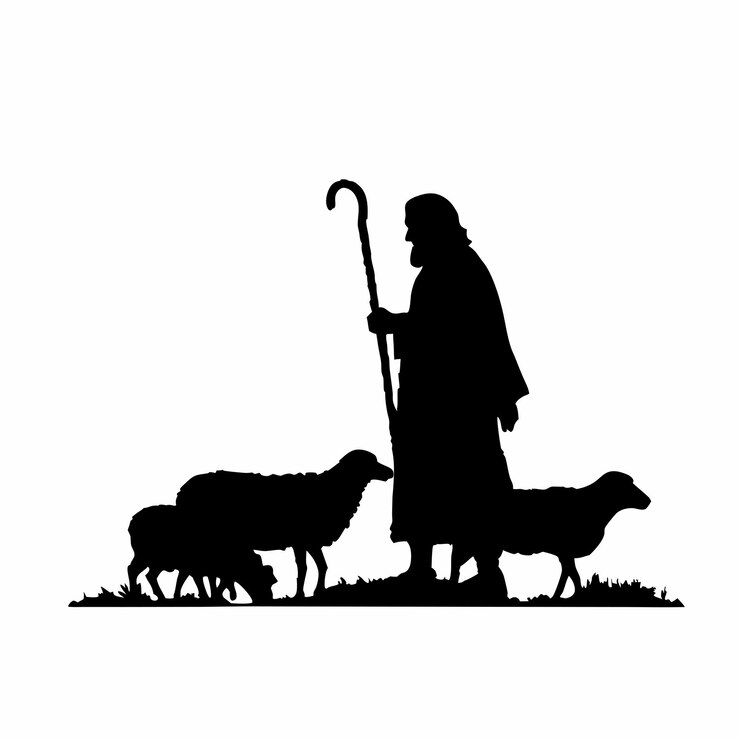A man is leading a group of sheep