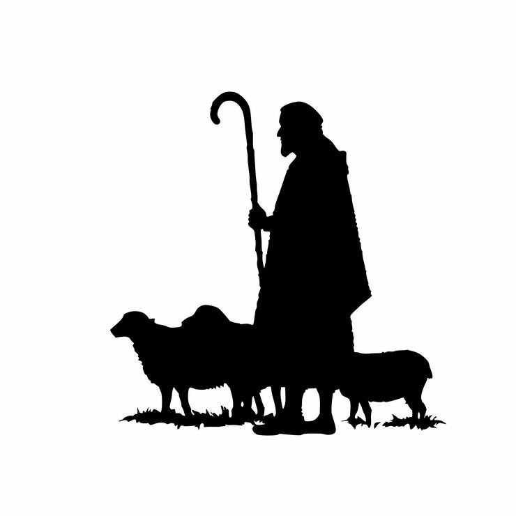 A man is leading a group of sheep