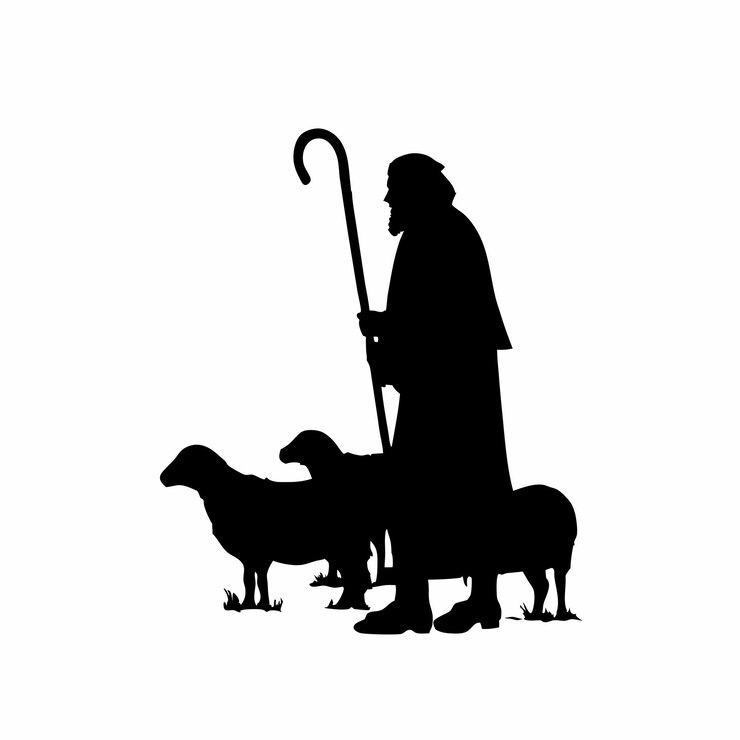 A man is leading a group of sheep