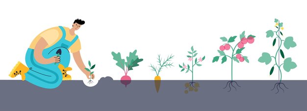man in overalls plants potato beet carrot tomato cucumber male cartoon action character