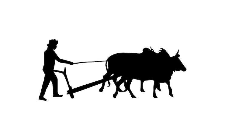 वेक्टर a man plowing a cow with a plow that says quot oxen quot