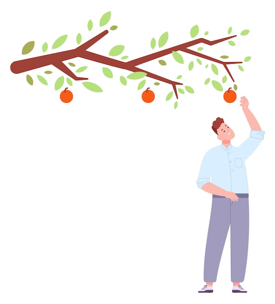 果樹園の木に生えている赤いリンゴに手を伸ばす男