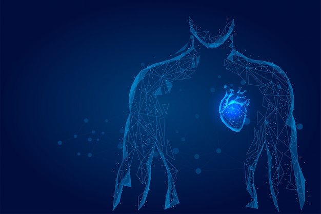 Man silhouette healthy heart connected dots low poly wireframe. Online doctor medicine low poly