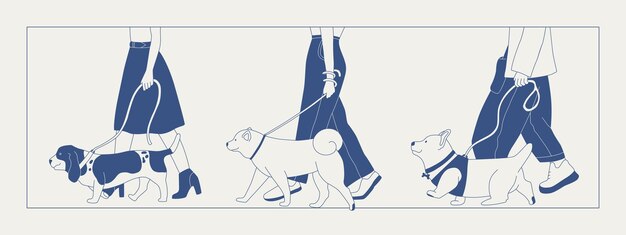 A man walks a dog on a leash Different breeds of dogs on a walk Dog show or dog walking in the city or in the park Vector flat contour graphics