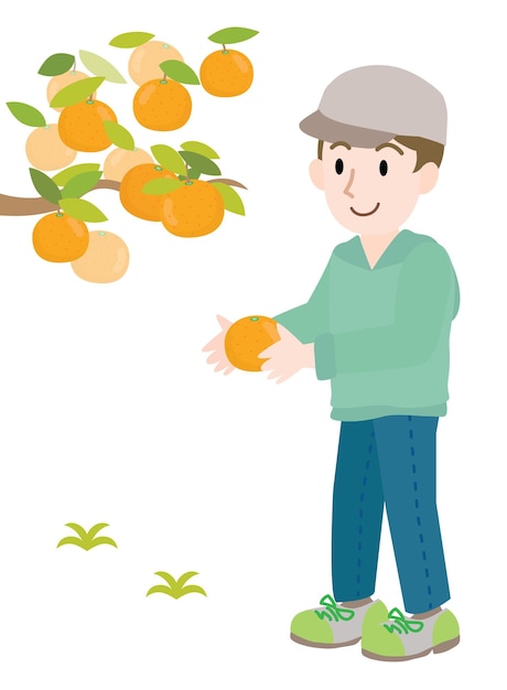 Vector a man who does mandarin orange picking