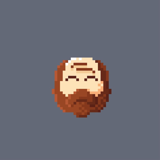 Vector man with beard in pixel style