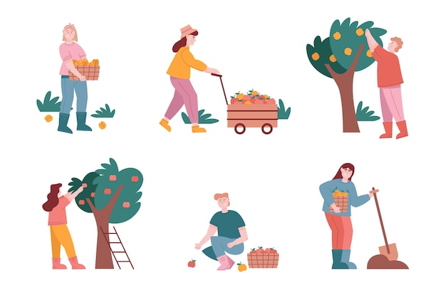 I personaggi di uomo e donna raccolgono frutti in fattoria. set di illustrazioni vettoriali di contadini che lavorano nel giardino delle mele e raccolgono frutti dall'albero. stagione della raccolta, agricoltura, fattoria.