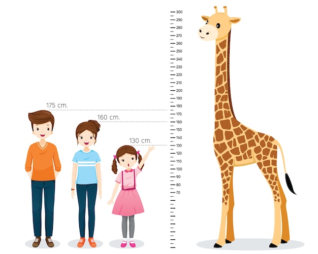 Vector man, woman, girl measuring height with giraffe