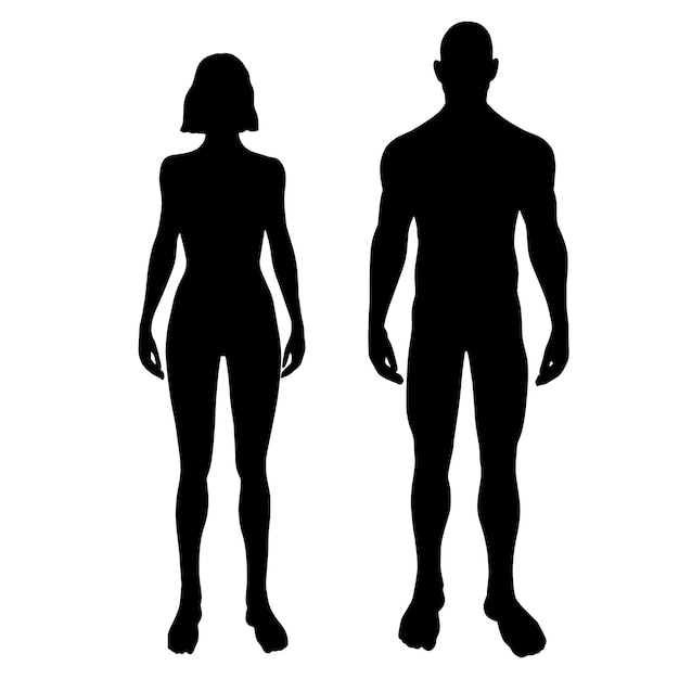 Man and woman standing silhouettes in front view vector illustration of body male and female