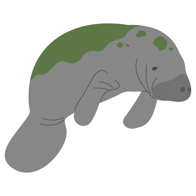 Vector manatee enkelvoudig 9