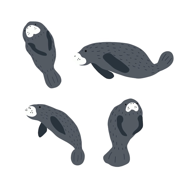 Manatees Scandinavian style under sea Save the manatee concept Character design