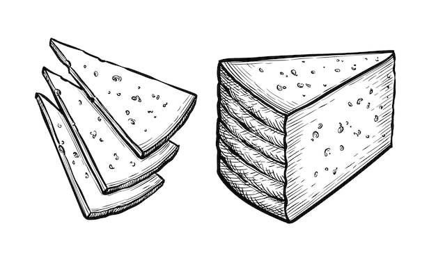 Vector manchego cheese ink sketch