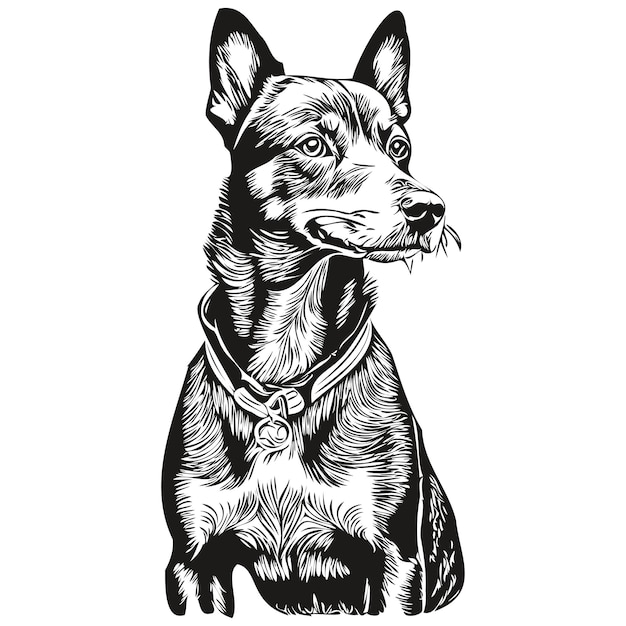 Manchester Terrier dog hand drawn logo drawing black and white line art pets illustration realistic breed pet