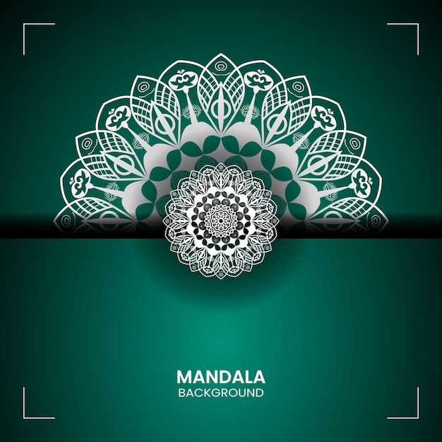 Vector mandala background design