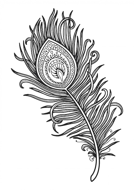 Vector mandala for coloring page peacock feather design.