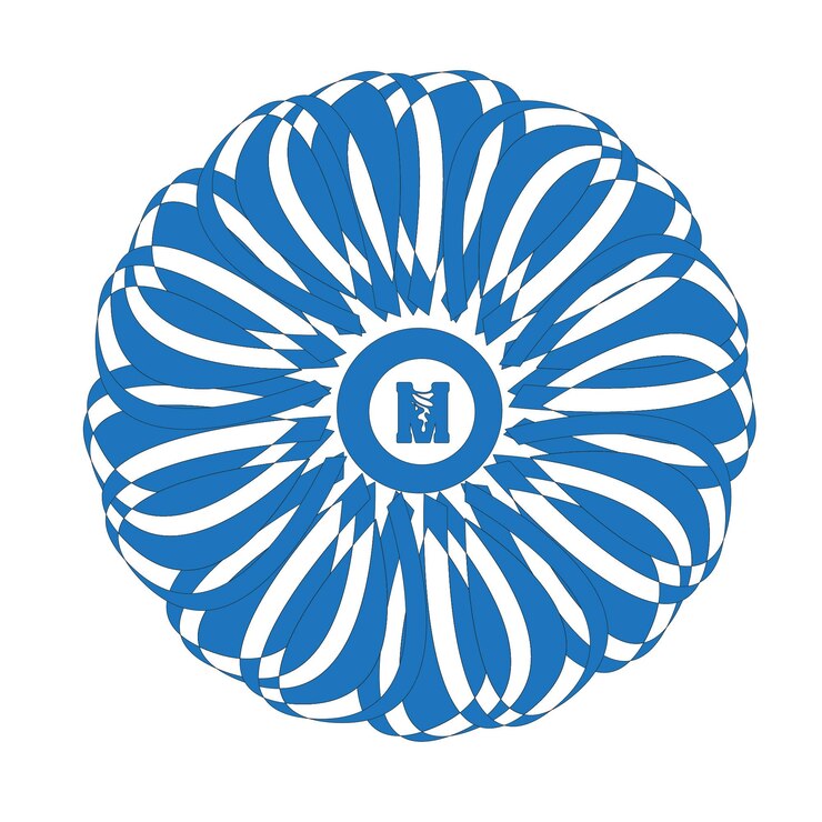 Vector mandala design