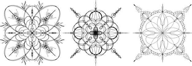 Mandala vector graphics Mandala set line art Mandala with plant elements