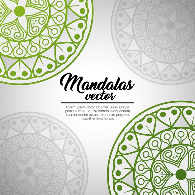Mandala vintage template  vector illustration graphic design