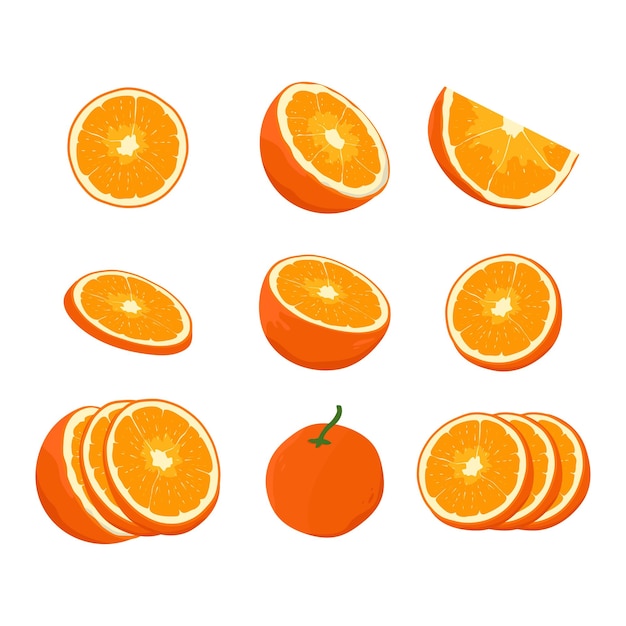 Vector mandarijn vers oranje fruit verlaat vectorelement set van geheel in tweeën gesneden in stukjes gesneden