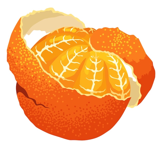 Icona mandarino cartone animato isolato agrumi dolci mandarino tropicale fresco illustrazione vettoriale biologica segmenti arancioni