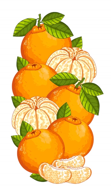 Composizione isolata mandarino.