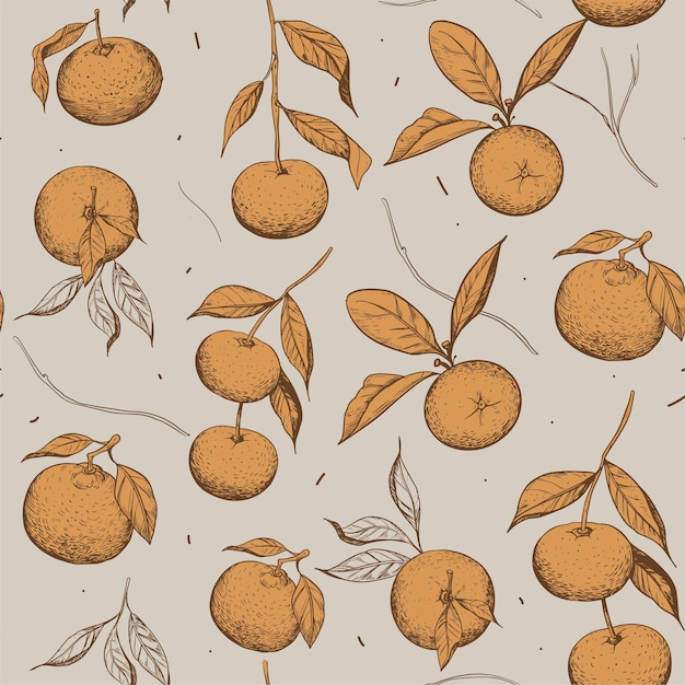 Mandarin. Seamless pattern. Sketch illustration set. Vector