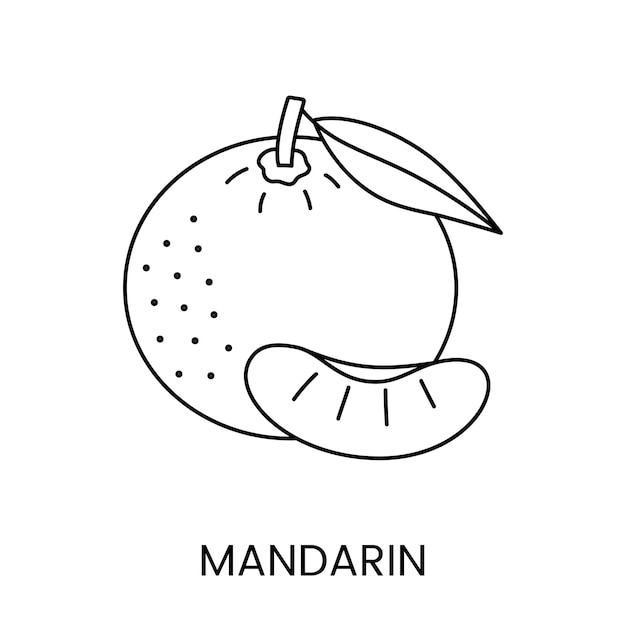 Mandarin vector line icon of a citrus fruit to indicate the presence of an allergen on food packaging