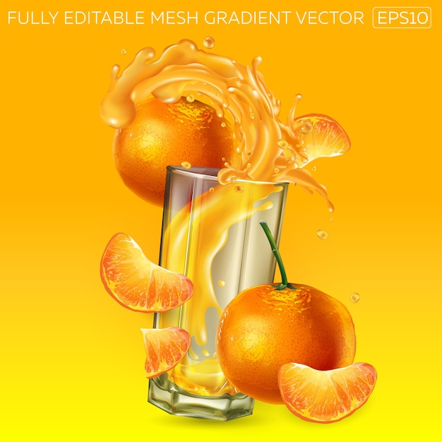 Vector mandarins and splashing juice in a glass.