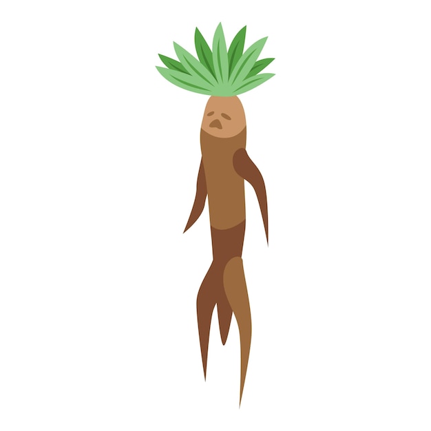 Vector mandrake plant icon isometric vector green leaf magic root