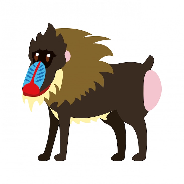 वेक्टर mandrill wild animal
