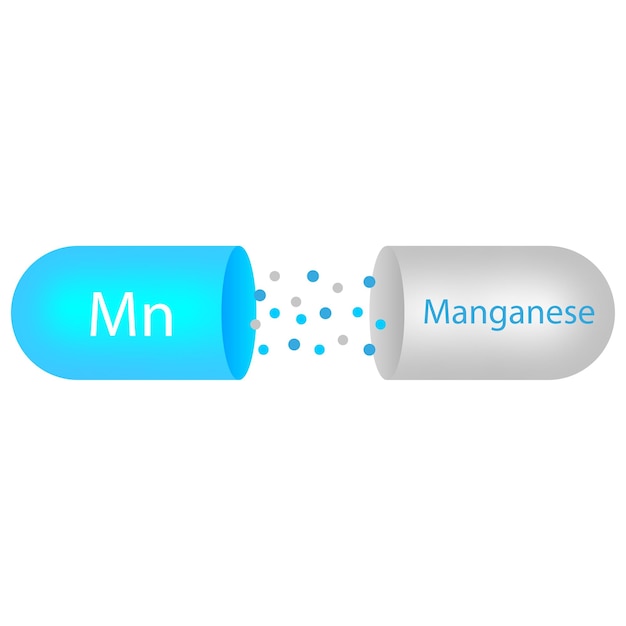 망간 캡슐. 건강 관리 개념입니다. 약국 개념입니다. 벡터 일러스트 레이 션.