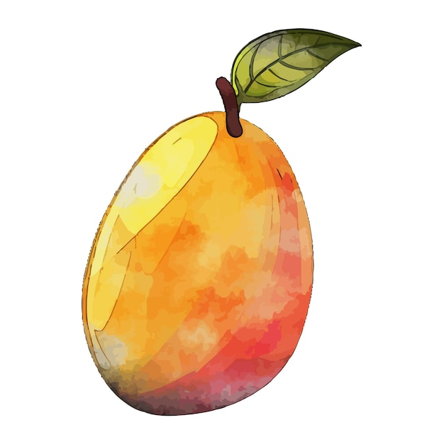 Mango aquarel vector illustratie