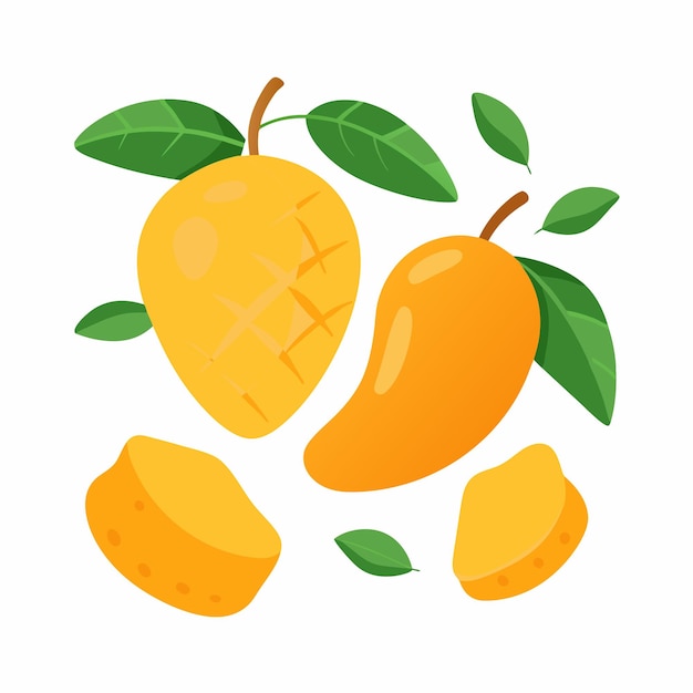 Mango compositie met bladeren Set van zoete hele plak kubus tropische vruchten Zomer vitamine vector 6