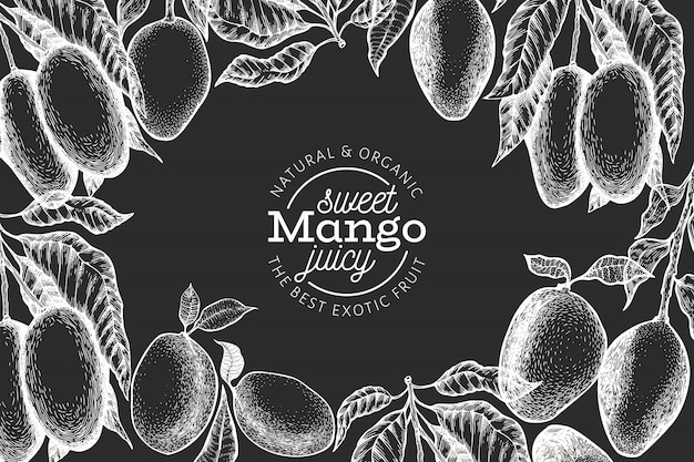 Modello di design di mango