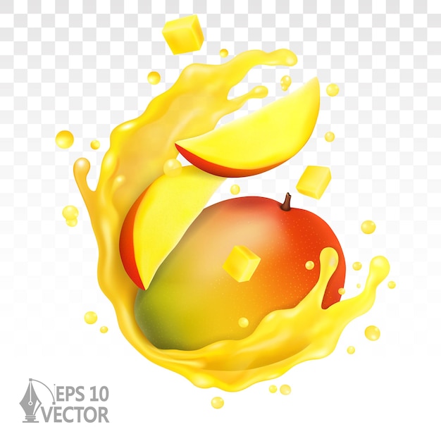 Vector mango fresh fruit and slices juice transparent splash and drops realistic vector illustration