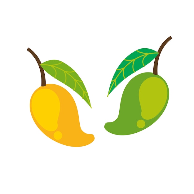 Mango fruit in flat illustration