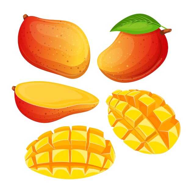 Vector mango fruit set cartoon vector illustration