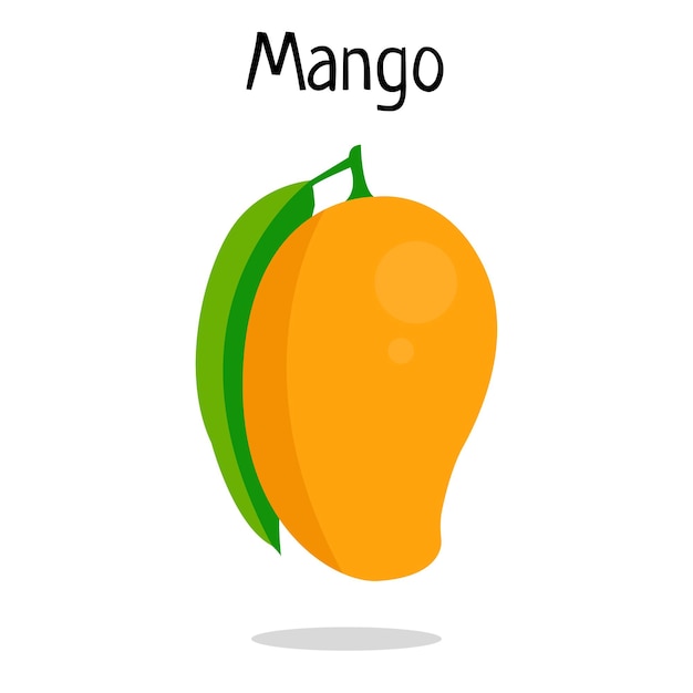 Vector mango fruit vectorillustratie