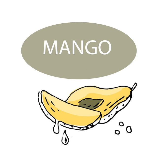 Vector mango gesneden en half fruit inkt schets illustratie