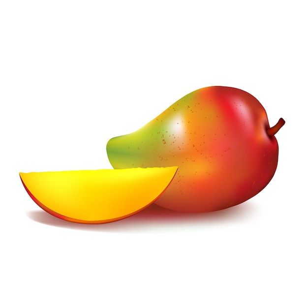 Vettore illustrazione di mango