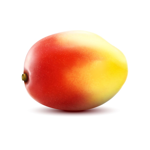 Mango. Mangovruchten. Zoete vruchten. 3D-vector pictogrammen instellen. Realistische vectorillustratie geïsoleerd op een witte achtergrond, bewerkbare handgemaakte grid