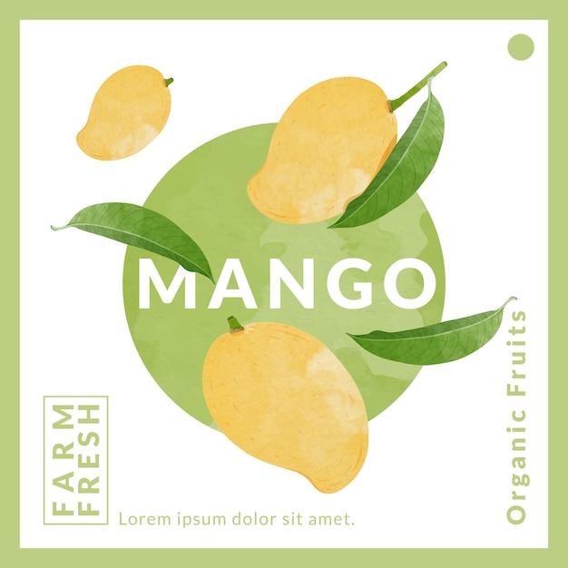 Vettore modelli di design per imballaggi di mango in acquerello, illustrazione vettoriale in stile