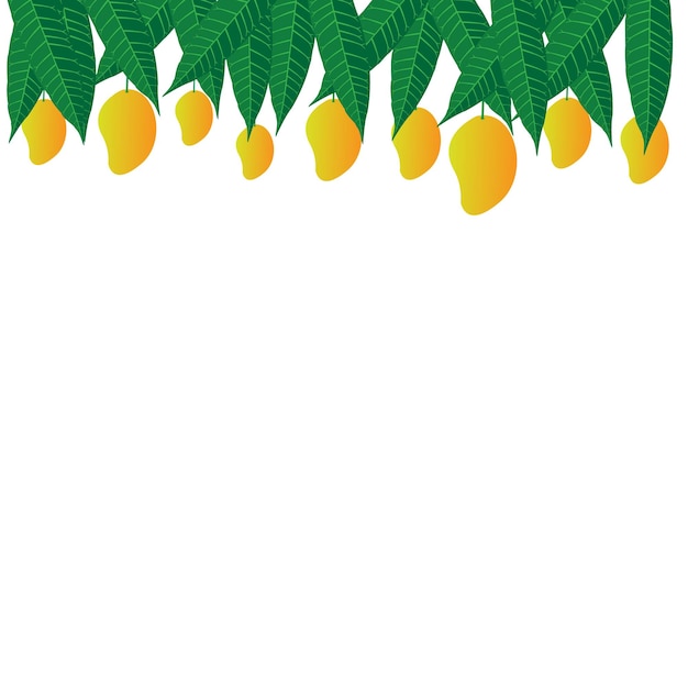 Mango's op een tak met blaadjes eraan