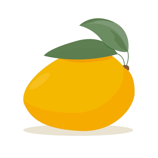 Mango Summer Fruit Drawing Isolated On White Background