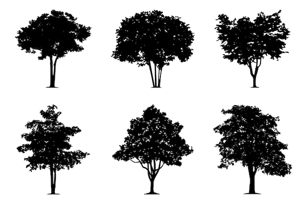 Collezione di silhouette di alberi o piante di mango