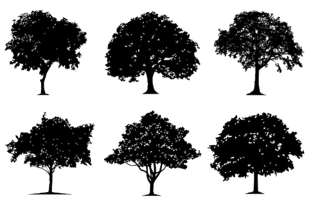 Collezione di silhouette di alberi o piante di mango