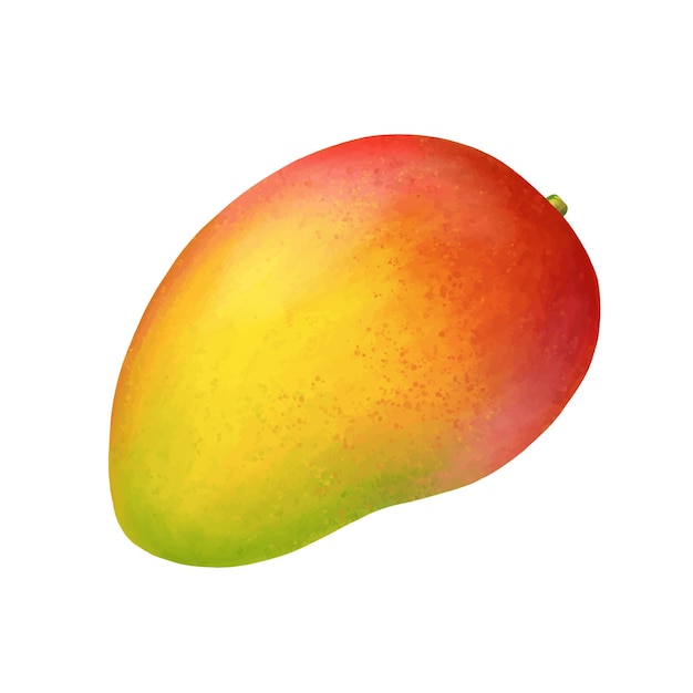 Вектор Вектор манго свежий тропический цельный фрукт реалистичная яркая иллюстрация на белом фоне иконка eps clip art
