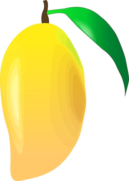 Mango vector illustratie Cartoon geïsoleerde exotische biologische verse vruchten