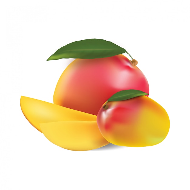 Vector mango